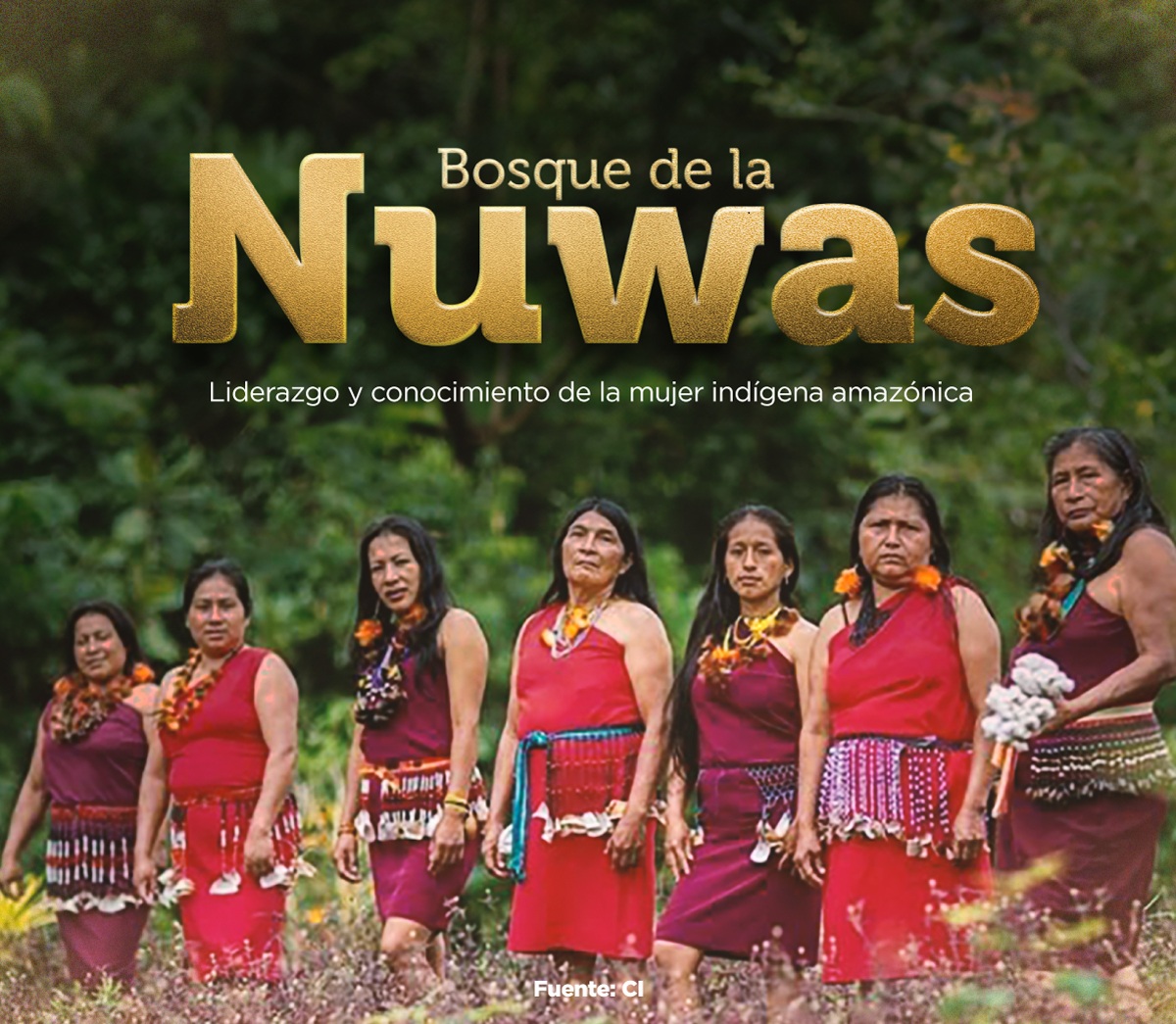 Imagen de Bosque de las Nuwas